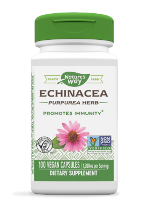 Echinacea